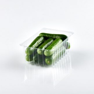 Tray containing mini cucumbers