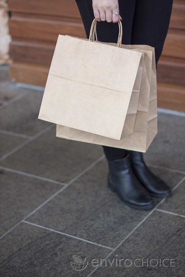 Kraft Paper Bag with Twist Handle