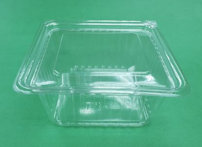 Large Deep Hinged Salad Container