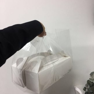 Clear LDPE Bag with Die Cut Handle holding two white boxes
