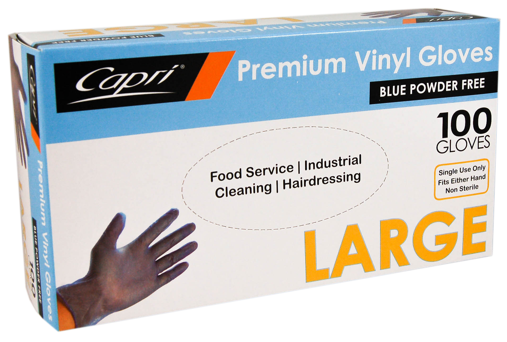 Vinyl Gloves Blue Powder Free Large