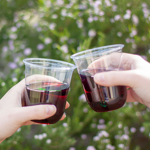 Cheers to Stemless Wine Tumblers